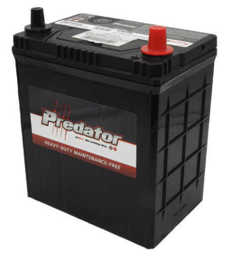 Picture of NS40ZL - 12VOLT 300CCA PREDATOR CALCIUM MAINTENANCE FREE BATTERY  - RHP