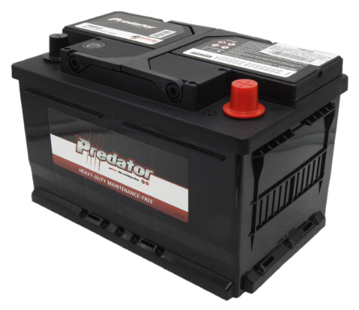 Picture of MF66 - 12VOLT 640CCA PREDATOR CALCIUM MAINTENANCE FREE BATTERY - RHP - DIN66 - 24 MONTHS WARRANTY (PRIVATE USE) 12 MONTHS WARRANTY (COMMERCIAL USE)