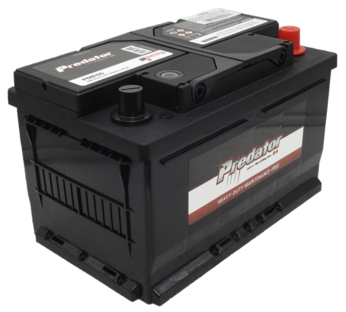 Picture of MF66 - 12VOLT 640CCA PREDATOR CALCIUM MAINTENANCE FREE BATTERY - RHP - DIN66 - 24 MONTHS WARRANTY (PRIVATE USE) 12 MONTHS WARRANTY (COMMERCIAL USE)