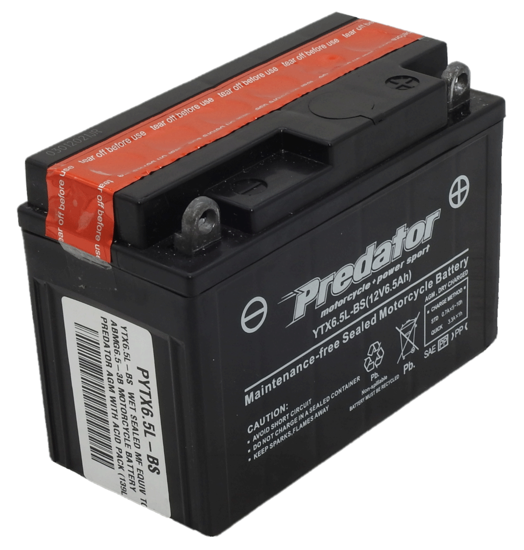 PYTX6.5L-BS YTX6.5L-BS - 12VOLT 6.5AH PREDATOR MOTORCYCLE AGM BATTERY ...