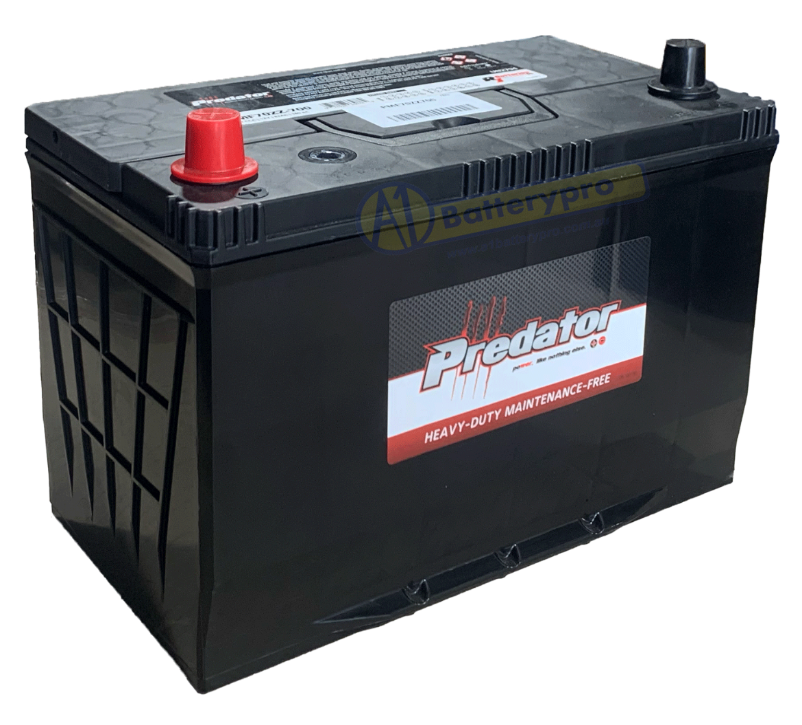 Picture of N70ZZ - 12VOLT 700CCA PREDATOR MAINTENANCE FREE CALCIUM BATTERY