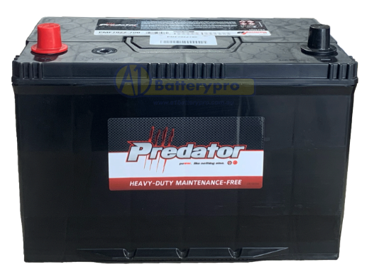 Picture of N70ZZ - 12VOLT 700CCA PREDATOR MAINTENANCE FREE CALCIUM BATTERY