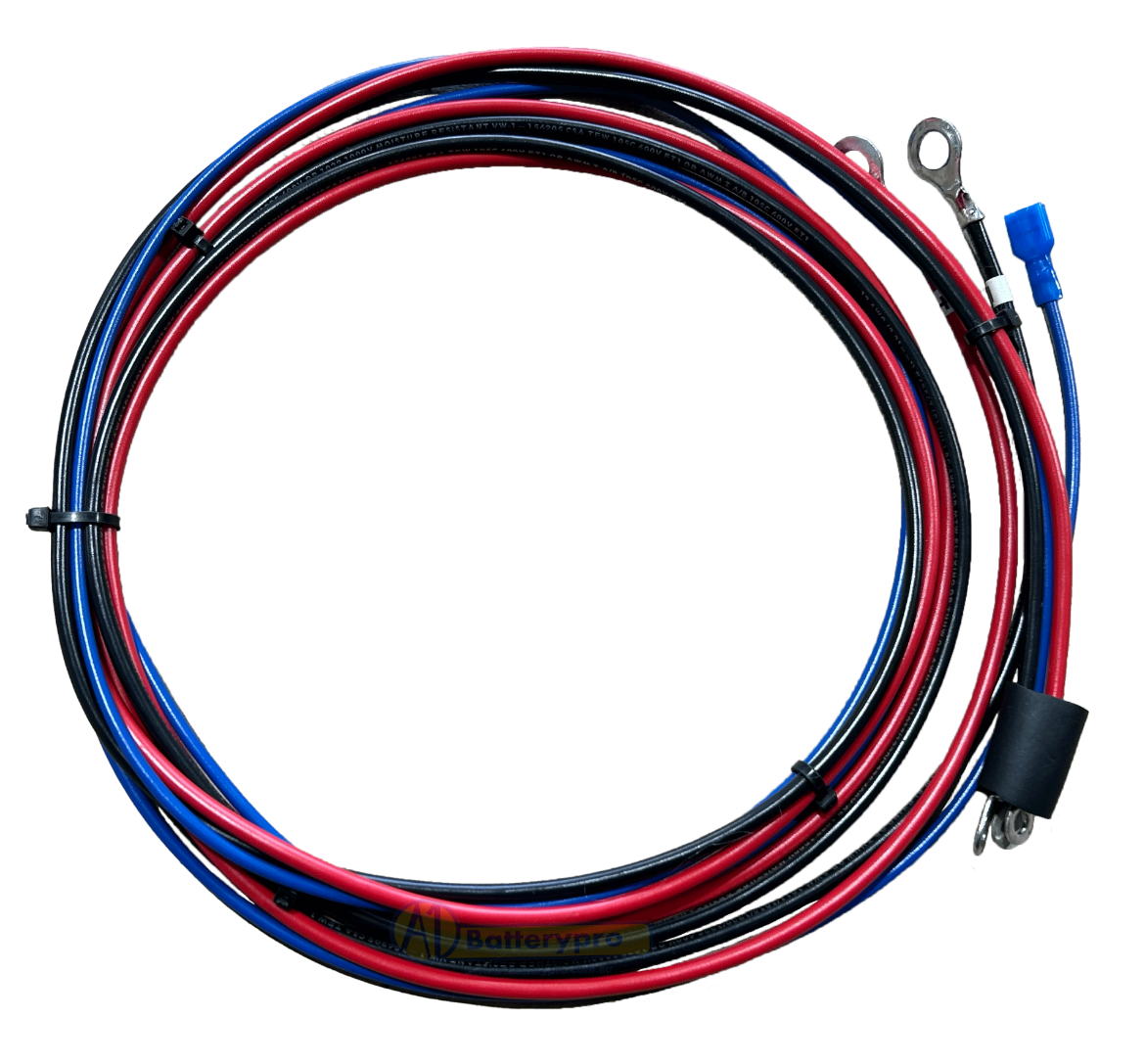 Picture of LESTER SUMMIT SERIES II CHARGER DC CABLE SET 24-48V EYELET CONNECTION