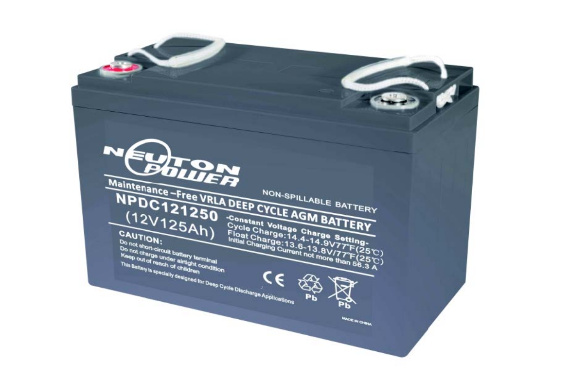 Picture of 12VOLT 125AH NEUTON POWER AGM DEEP CYCLE  BATTERY - LHP