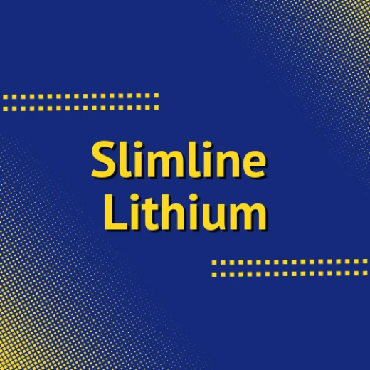 Picture for category Slimline Lithium Batteries